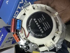 Bluetooth Ceiling Speaker