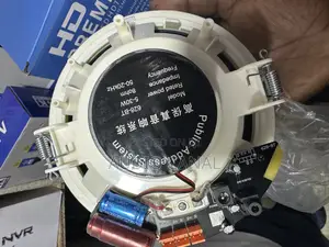Bluetooth Ceiling Speaker