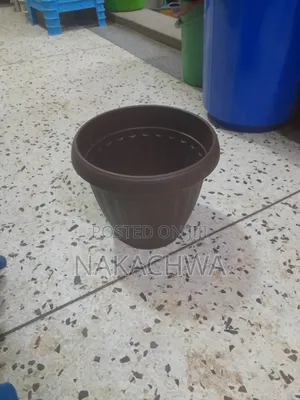 2 Pieces of Flower Plastic Vessels