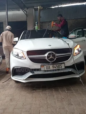 Denis Car and House Glass Privacy Tints