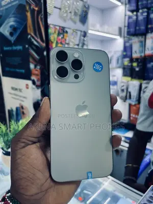 Apple iPhone 15 Pro Max 256 GB Silver