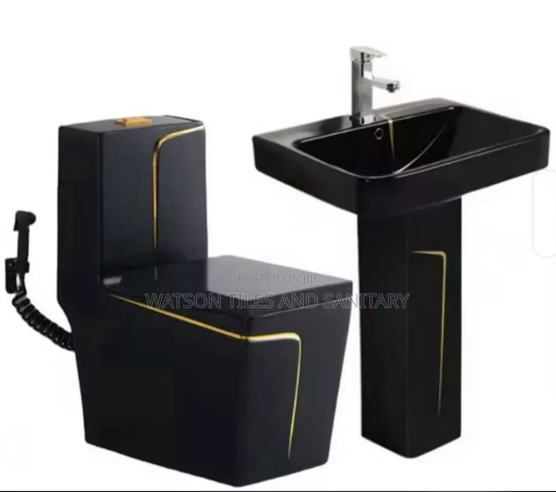 Toilet Seat Combo