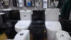 Toilet Seat Combo