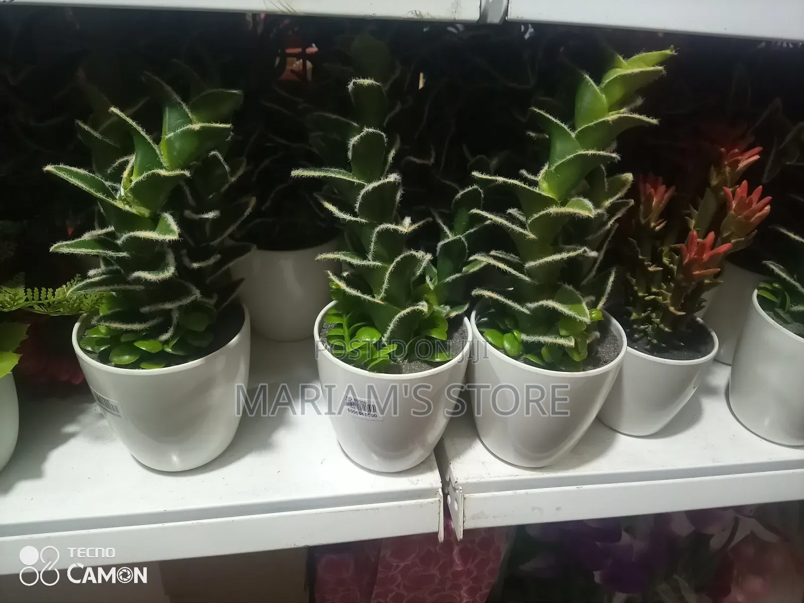 Artificial Flowers in Green and Simple White Pot