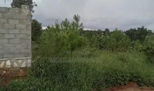 Plot in Kiwenda 50*100 Titled