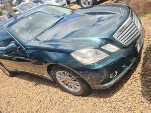 Mercedes-Benz E300 2010 Green