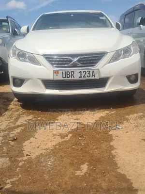 Toyota Mark X 2010 White