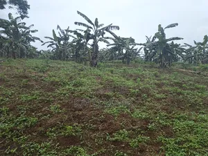 3 Acres for Sale Located at Nkokonjeru