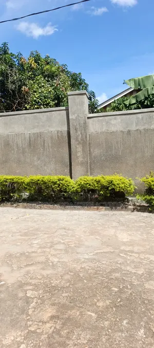 Wall Fence Construction