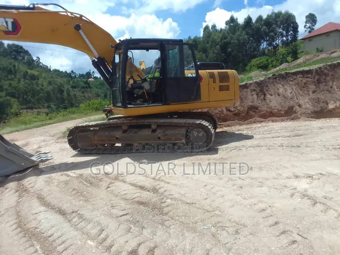 Caterpillar