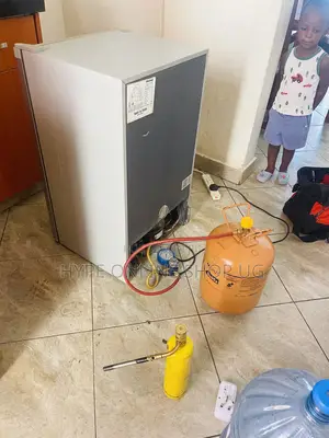 Skilled Technician Fridge Repair and Service
