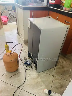Skilled Technician Fridge Repair and Service