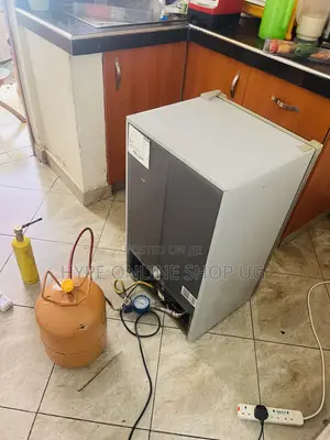 Skilled Technician Fridge Repair and Service
