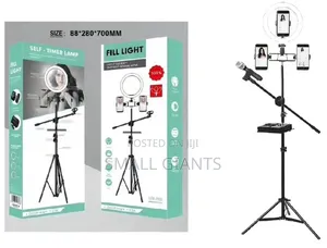 Ringlight With Stand And Microphone Stand Set Up