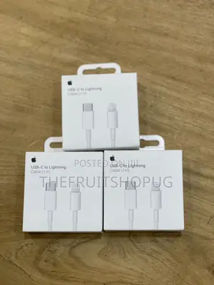 Apple Usb C to Lightning Cable (1m)
