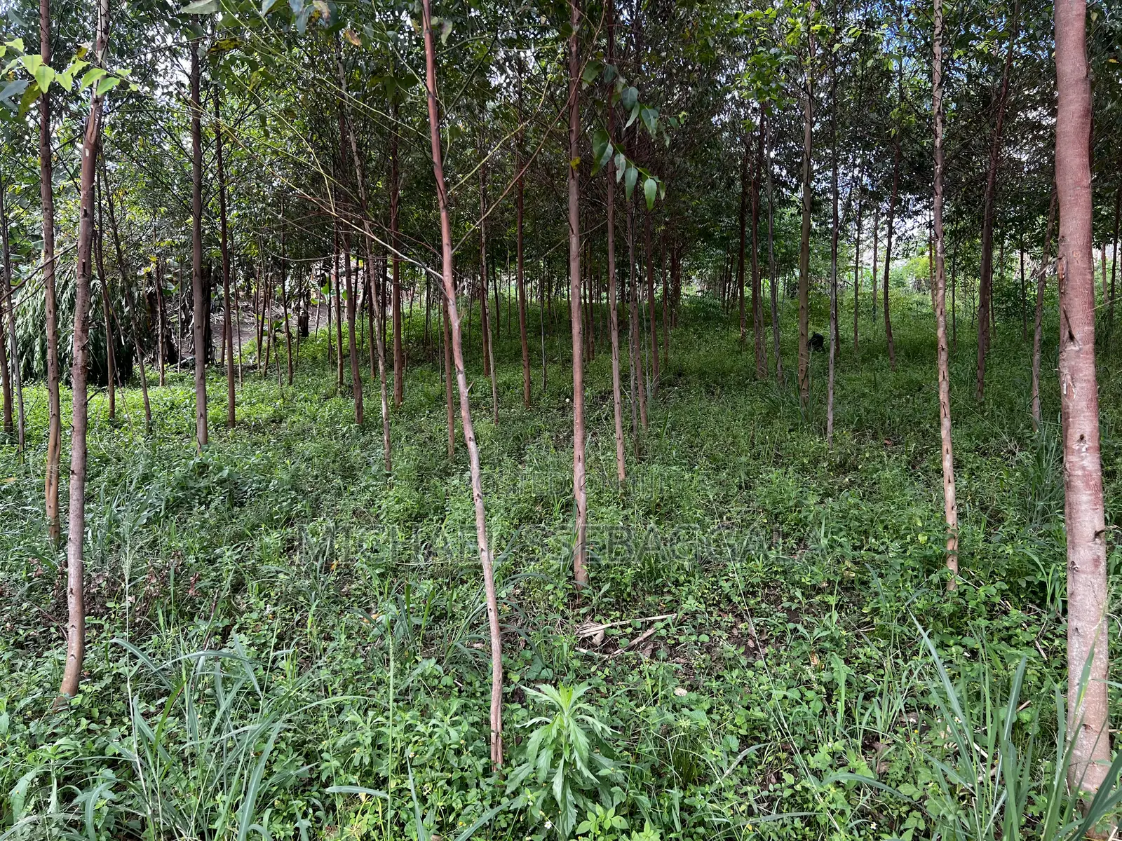 Half Acre Prime Land Sale