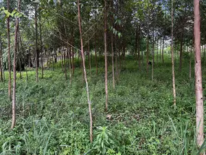 Half Acre Prime Land Sale