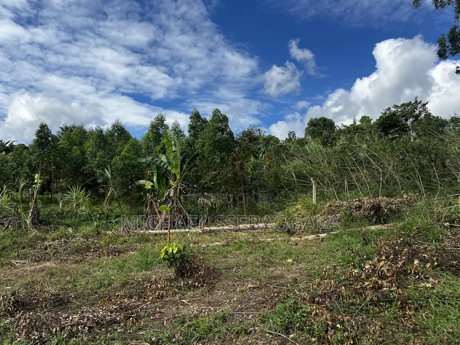 Half Acre Prime Land Sale
