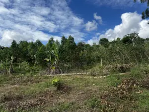 Half Acre Prime Land Sale