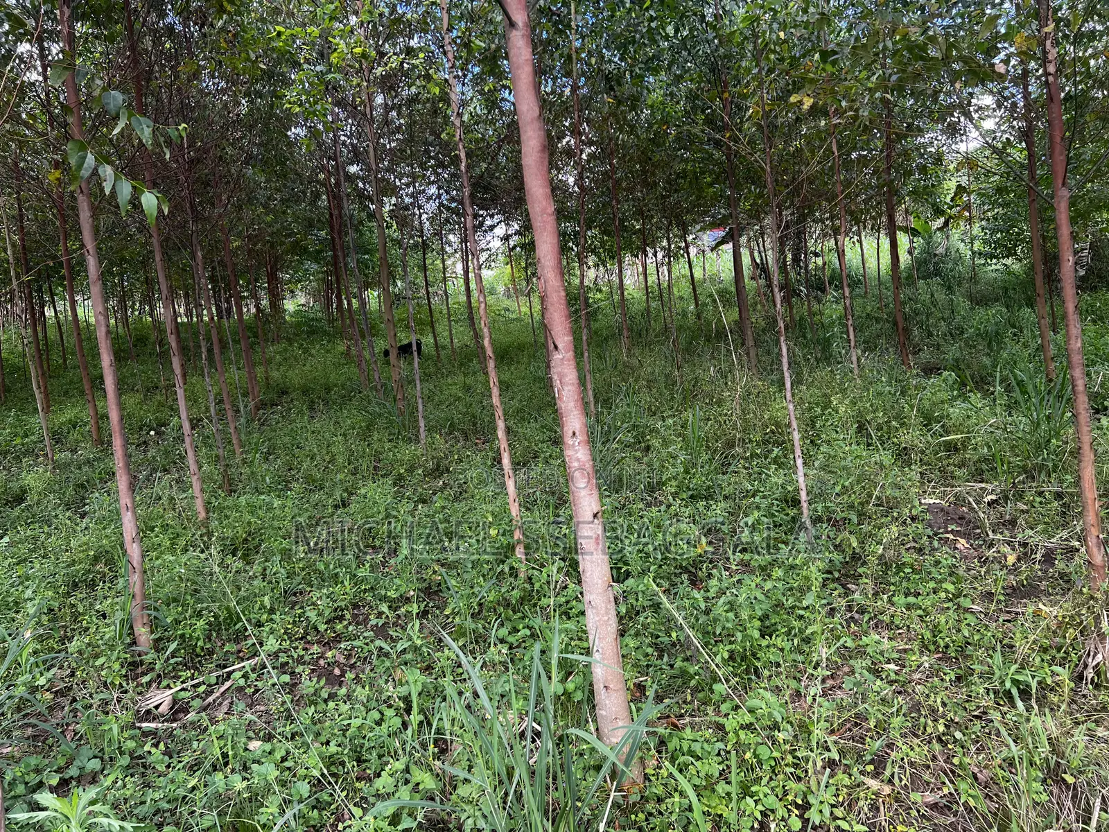 Half Acre Prime Land Sale