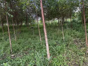 Half Acre Prime Land Sale