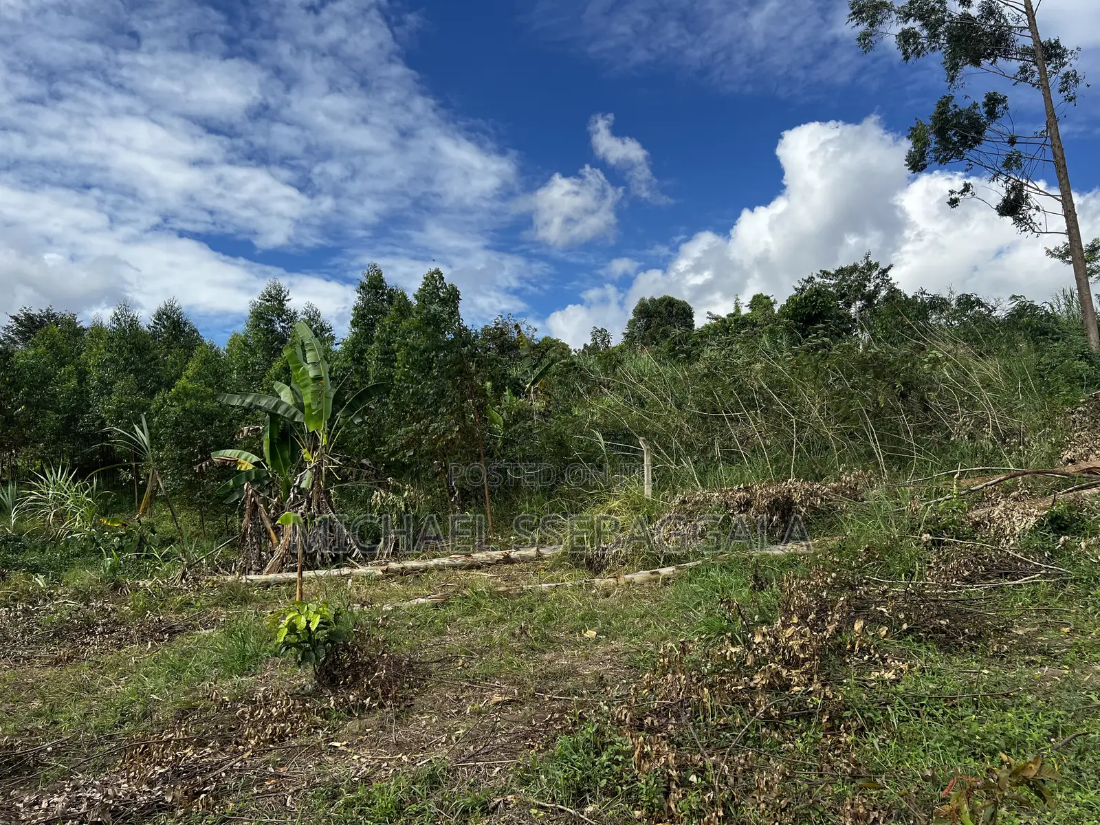 Half Acre Prime Land Sale