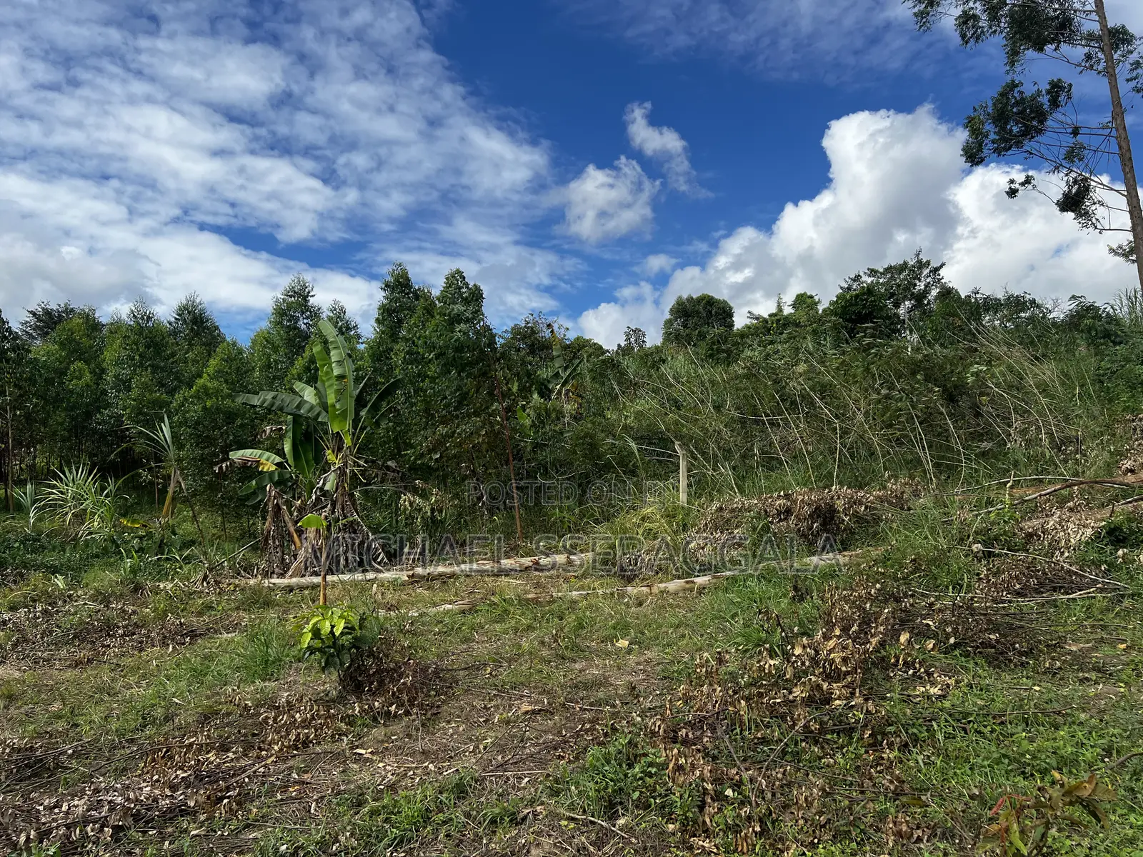 Half Acre Prime Land Sale