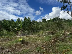 Half Acre Prime Land Sale