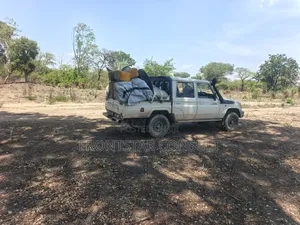 Mineral Exploration