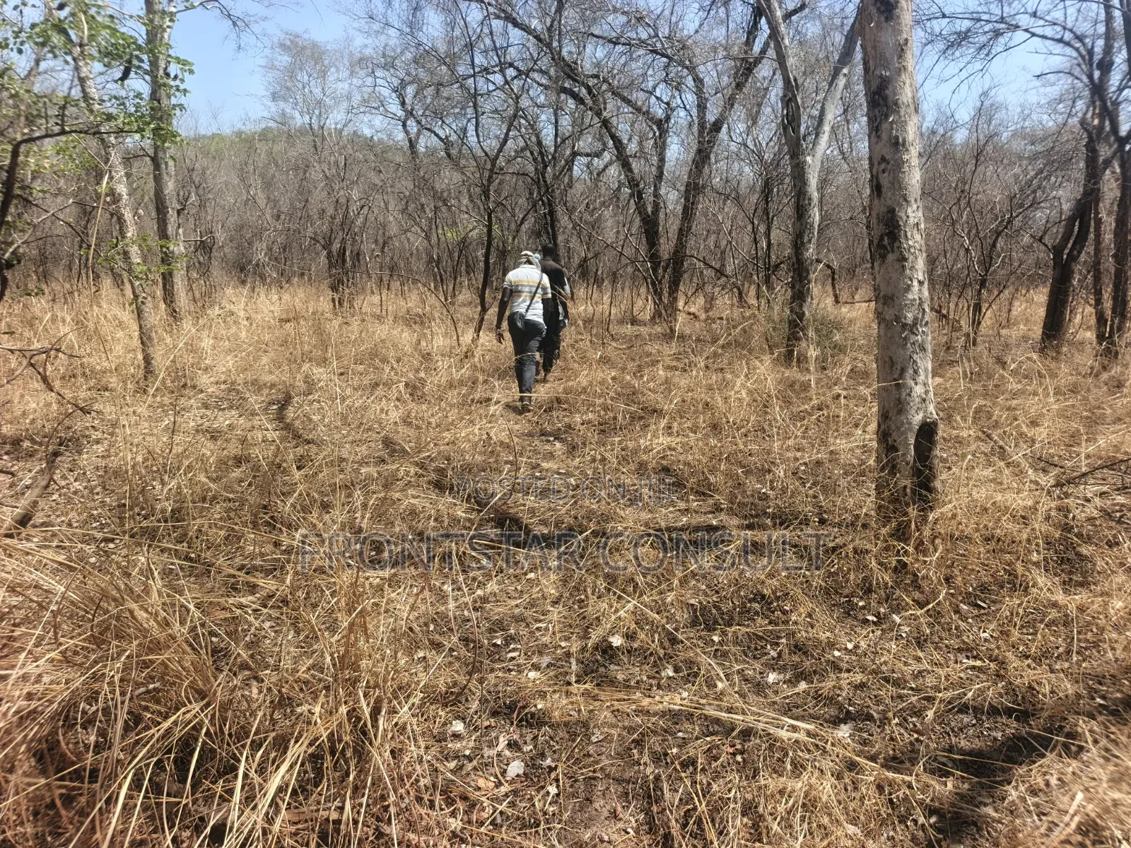 Mineral Exploration