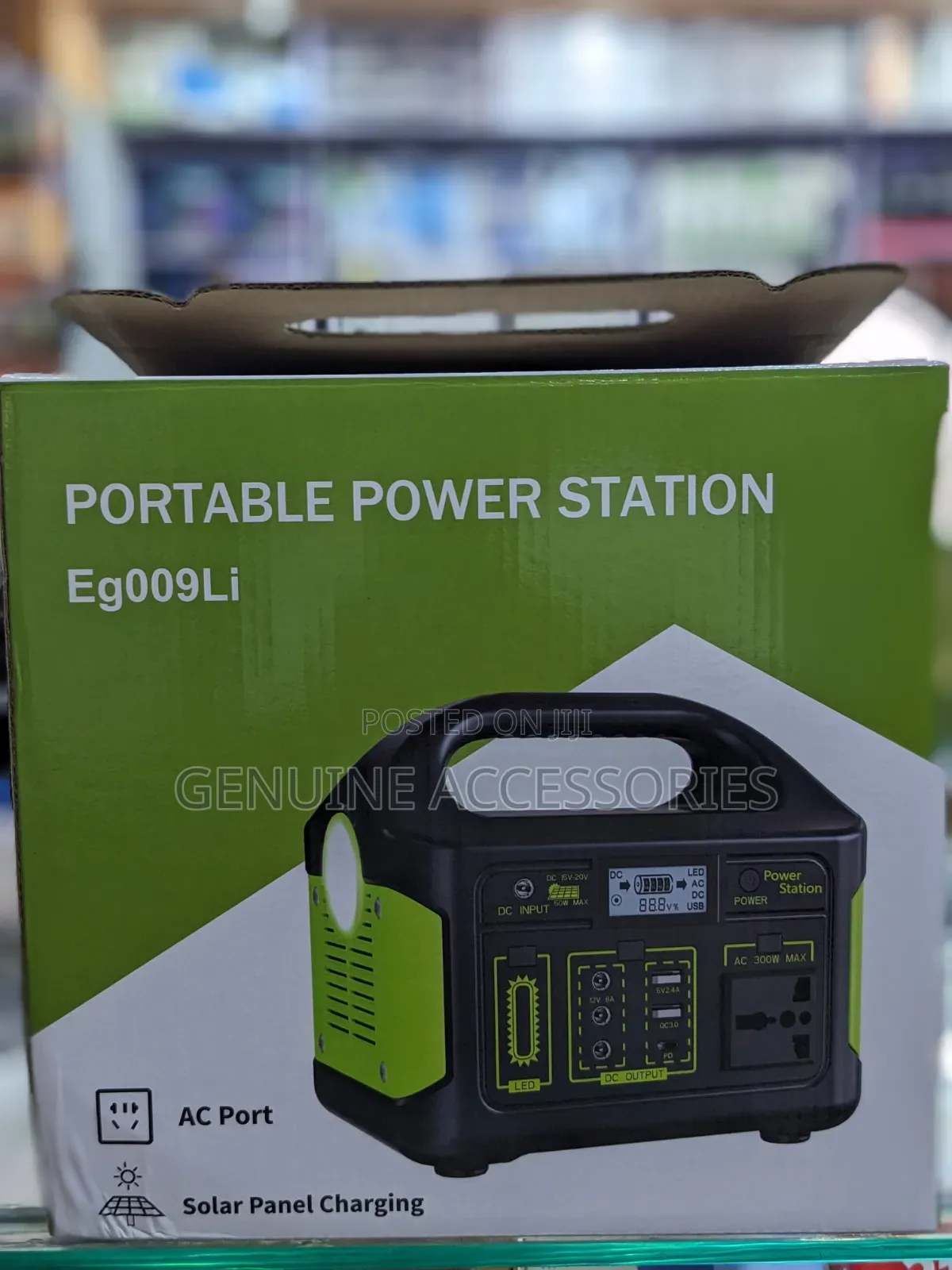 Portable Power Station 300w