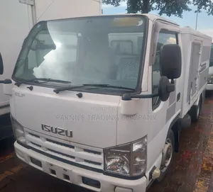 Isuzu Fridge 2010 White