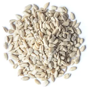 Sunflower Seeds No Shells 250g