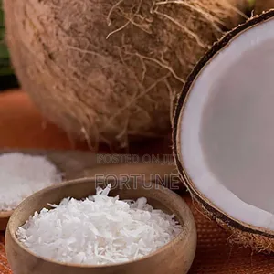 Coconut Powder 500g