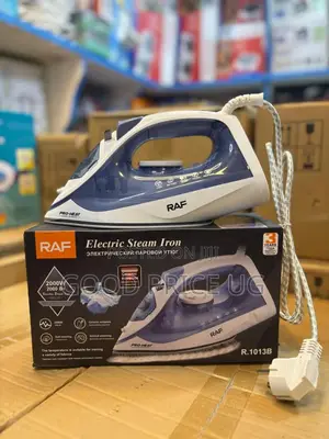 Raf R.1013b Electric Steam Iron
