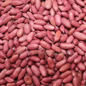 Ground Nuts