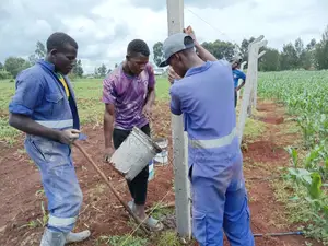 Plot | Land Marking | Concrete Pole Erection Services