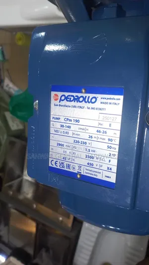 2hp,Pedrollo Surface Pump.