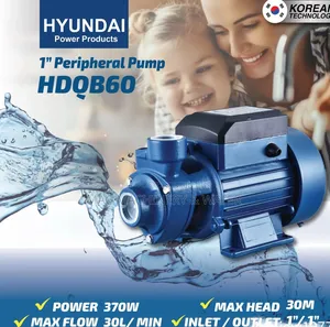 Hyundai Surface Booster Water Pump and Fountain Pump