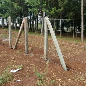 Barbed Wire Installation Services