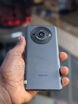 Sharp Aquos R8s pro 256 GB Gray