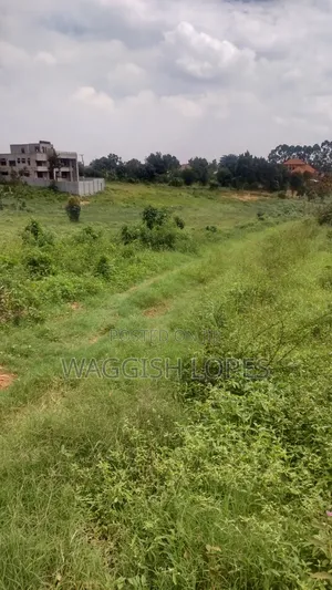 Land 4 Sale From 5m With and Title
