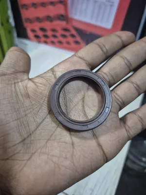 Machinery Oil Seals