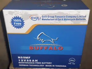 N55mf 12v 55ah Battery