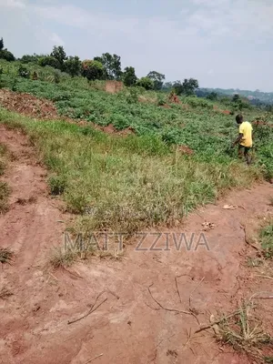 50x100 Land Plot in Kasanjye, Nakawuka