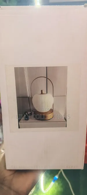 Rechargeable Decor Apple Lamp
