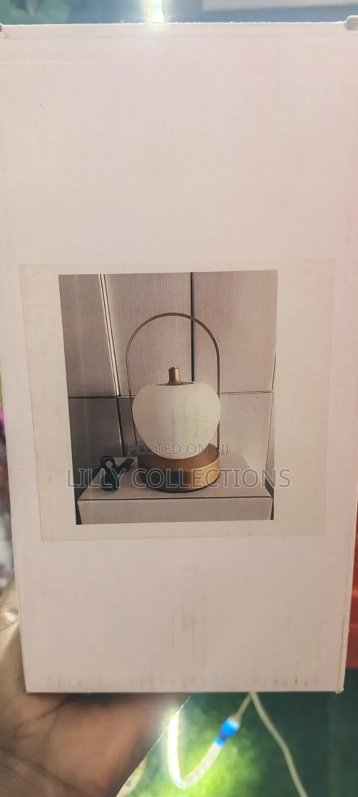 Rechargeable Decor Apple Lamp