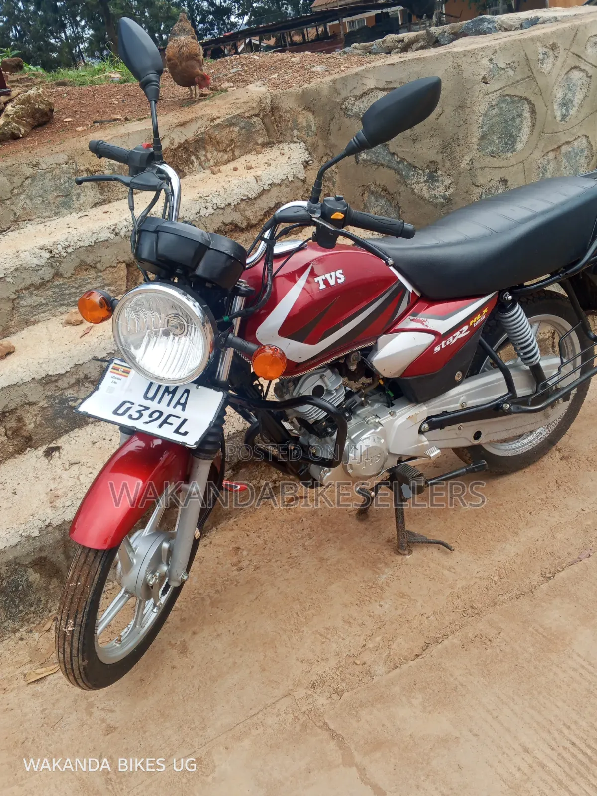 TVS HLX 125 2025 Red