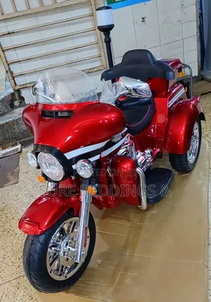 Heavy Rechargeable Kids Bike
