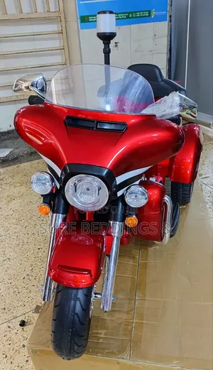 Heavy Rechargeable Kids Bike